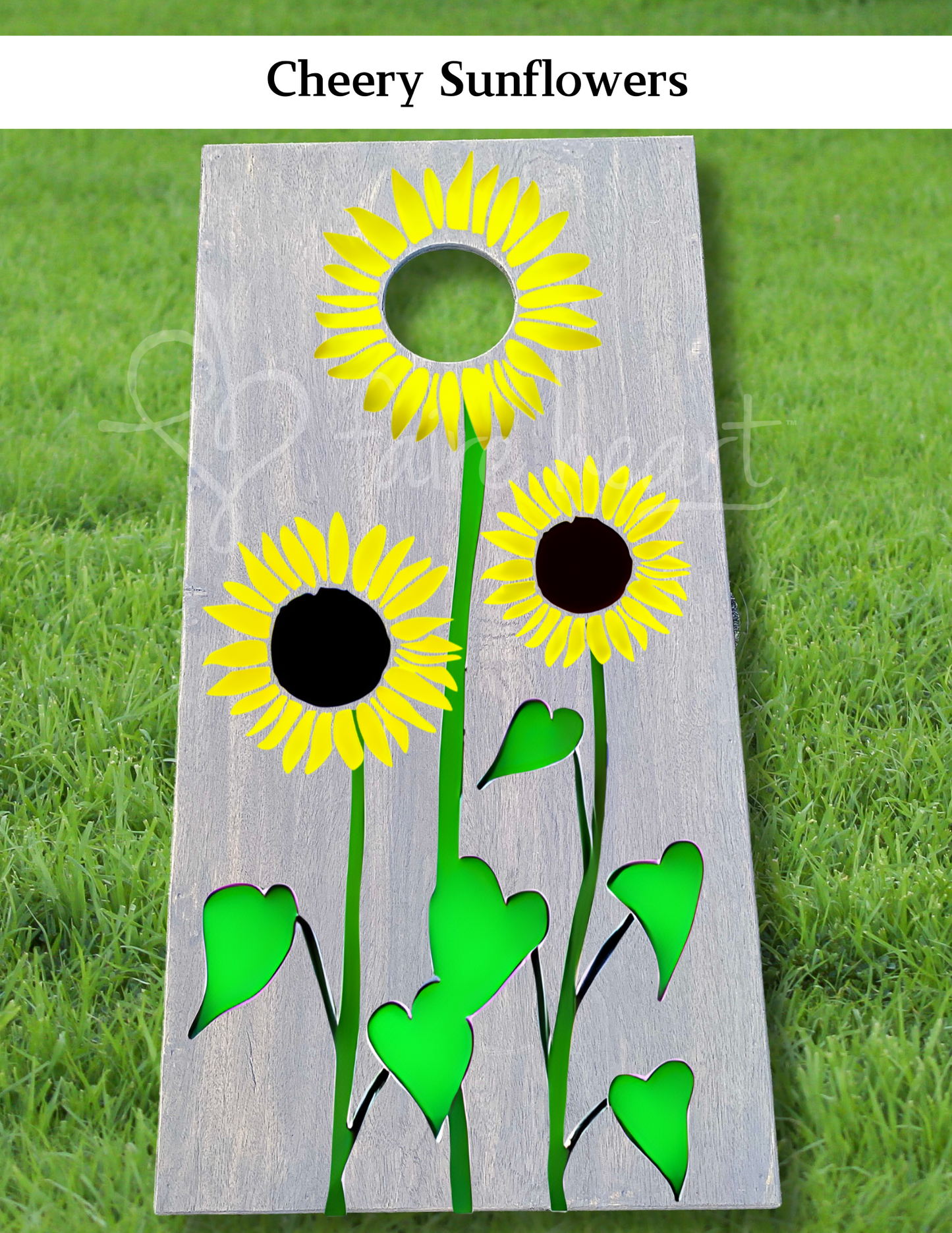 May 17th & 20th Custom Corn Hole Boards Workshop!